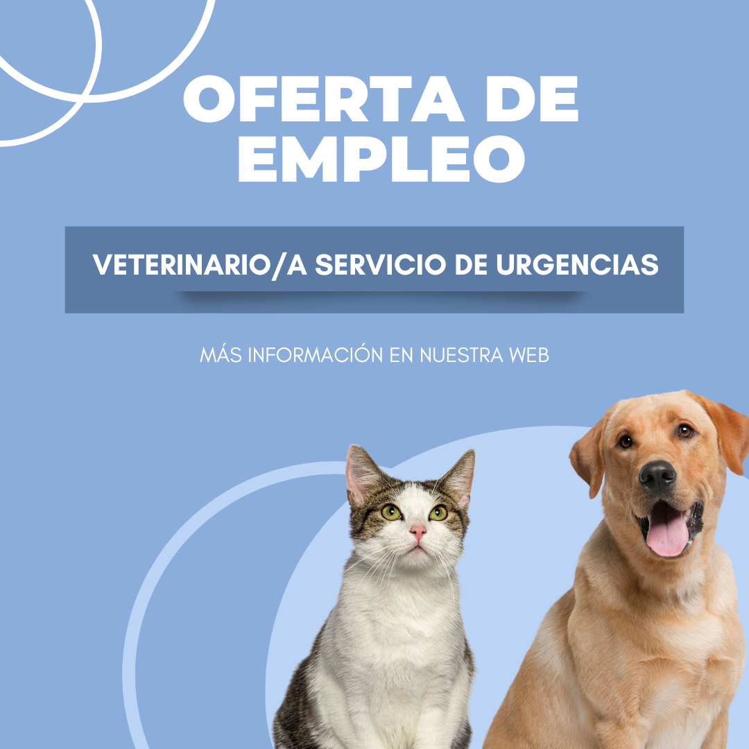 Oferta de empleo para veterinario/a de Servicio de Urgencias